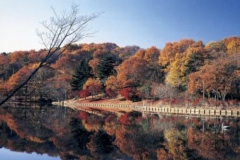 北山公園の秋・・・新池